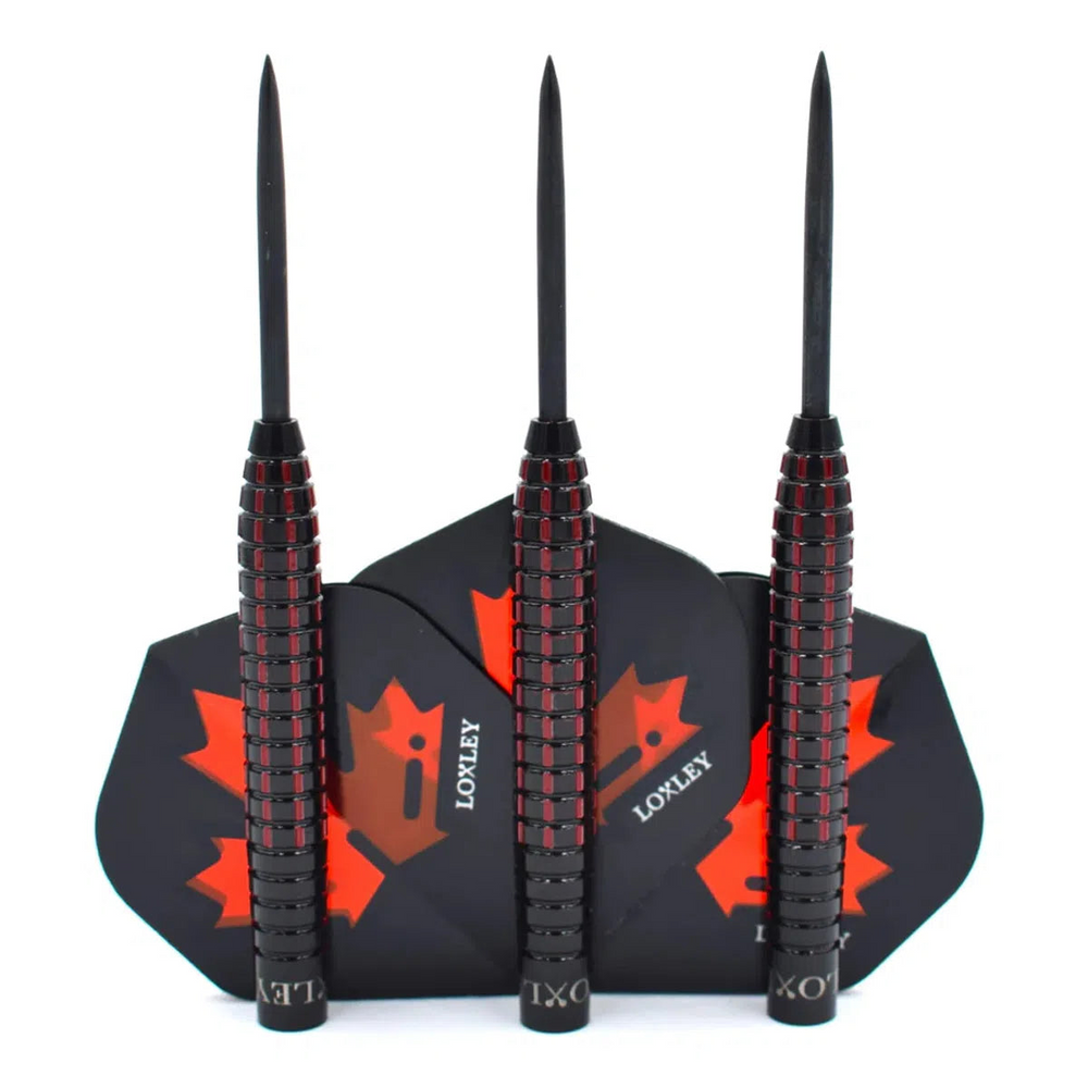 Loxley John Part 30th Anniversary Steel Tip Darts 95% Tungsten — barrels and flight design