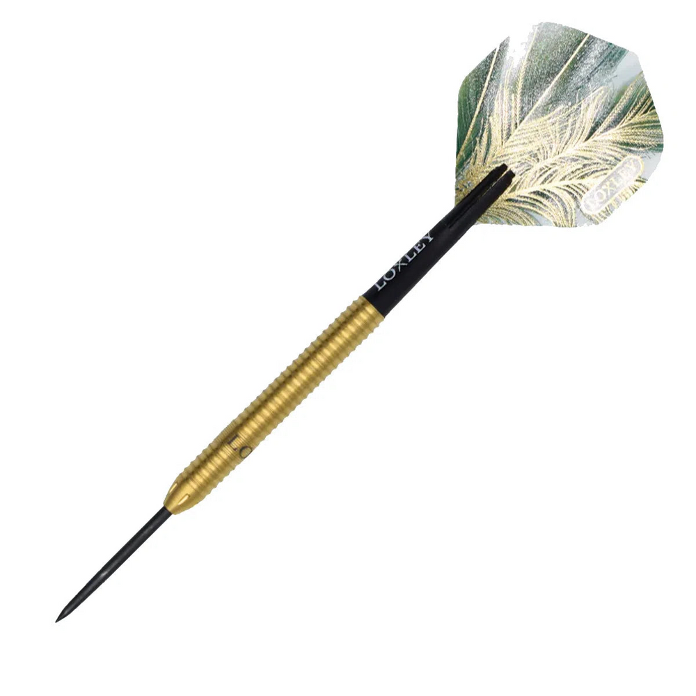 David “The Turtle” Schlichting Darts Steel Tip Darts - 90% from On Point Darts