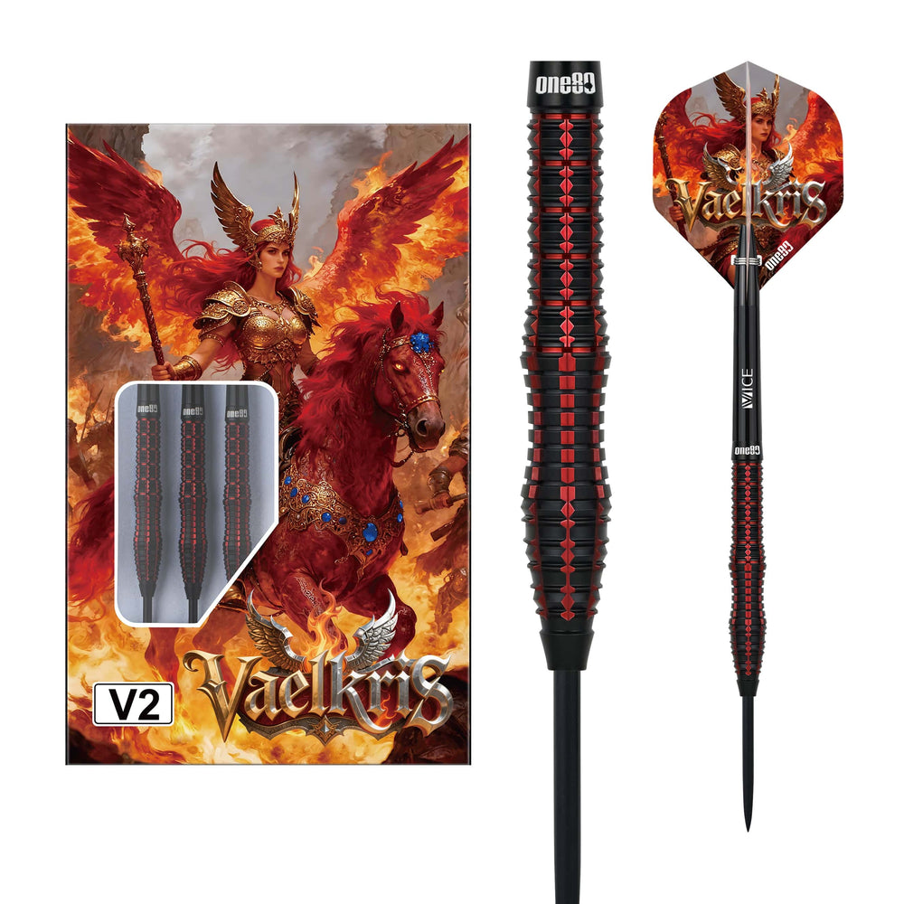 One80 Vaelkris V2 steel-tip darts and supplied setup