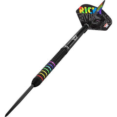 Bulls Ricky Evans Steel Tip Darts 95% Tungsten — assembled dart