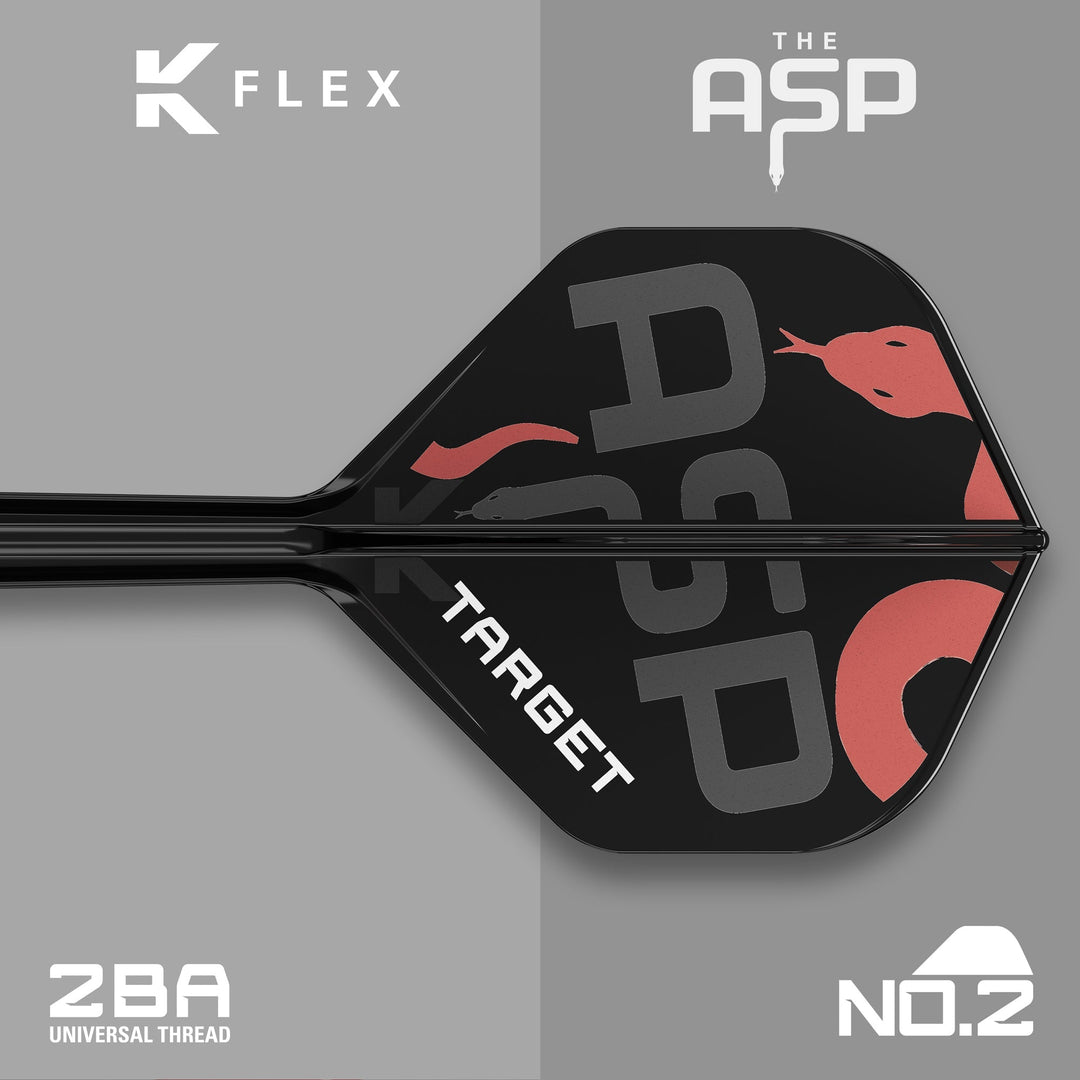 Nathan Aspinall K-Flex No.2 integrated flight alternate view