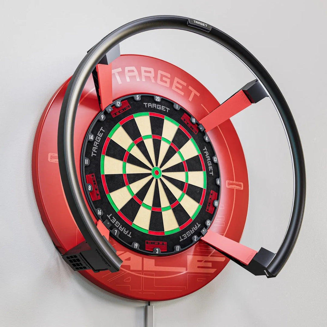 Omni Leg and Camera Protectors — protectors fitted to an automatic dart scoring setup