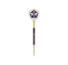 Target Luke Littler World Champion Steel Tip Darts 90% Tungsten — assembled dart