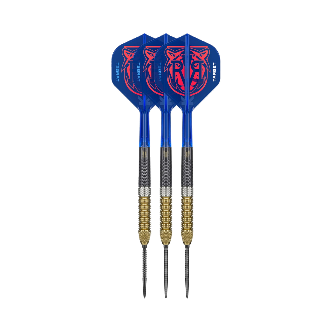 Target RVB G6 steel-tip darts, three assembled darts with flights, shafts and points on a white background.